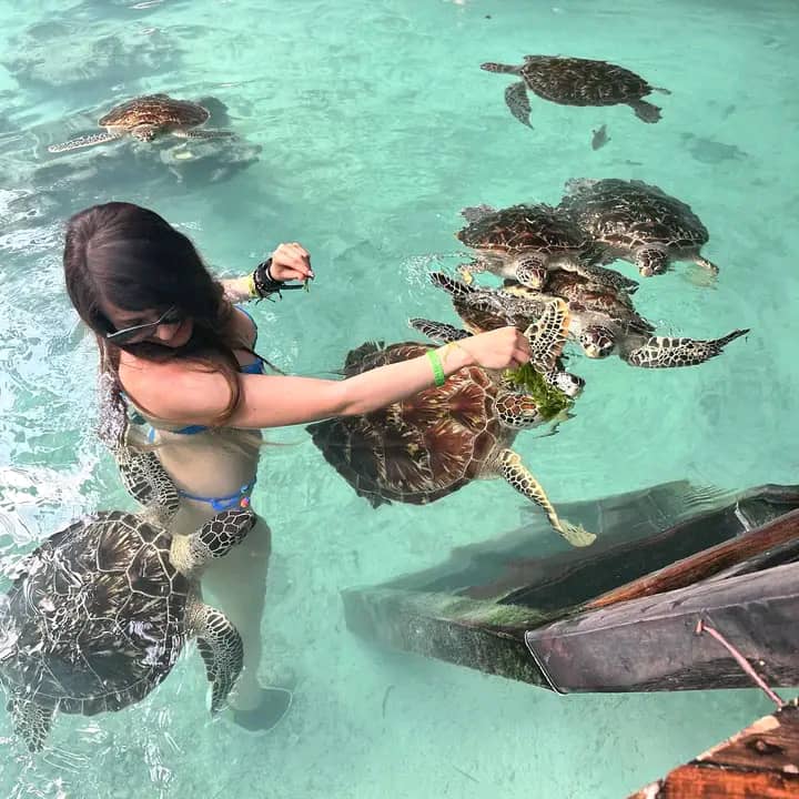 WhatsApp Image 2025 06 06 at 21.18.51_74fd8b6e