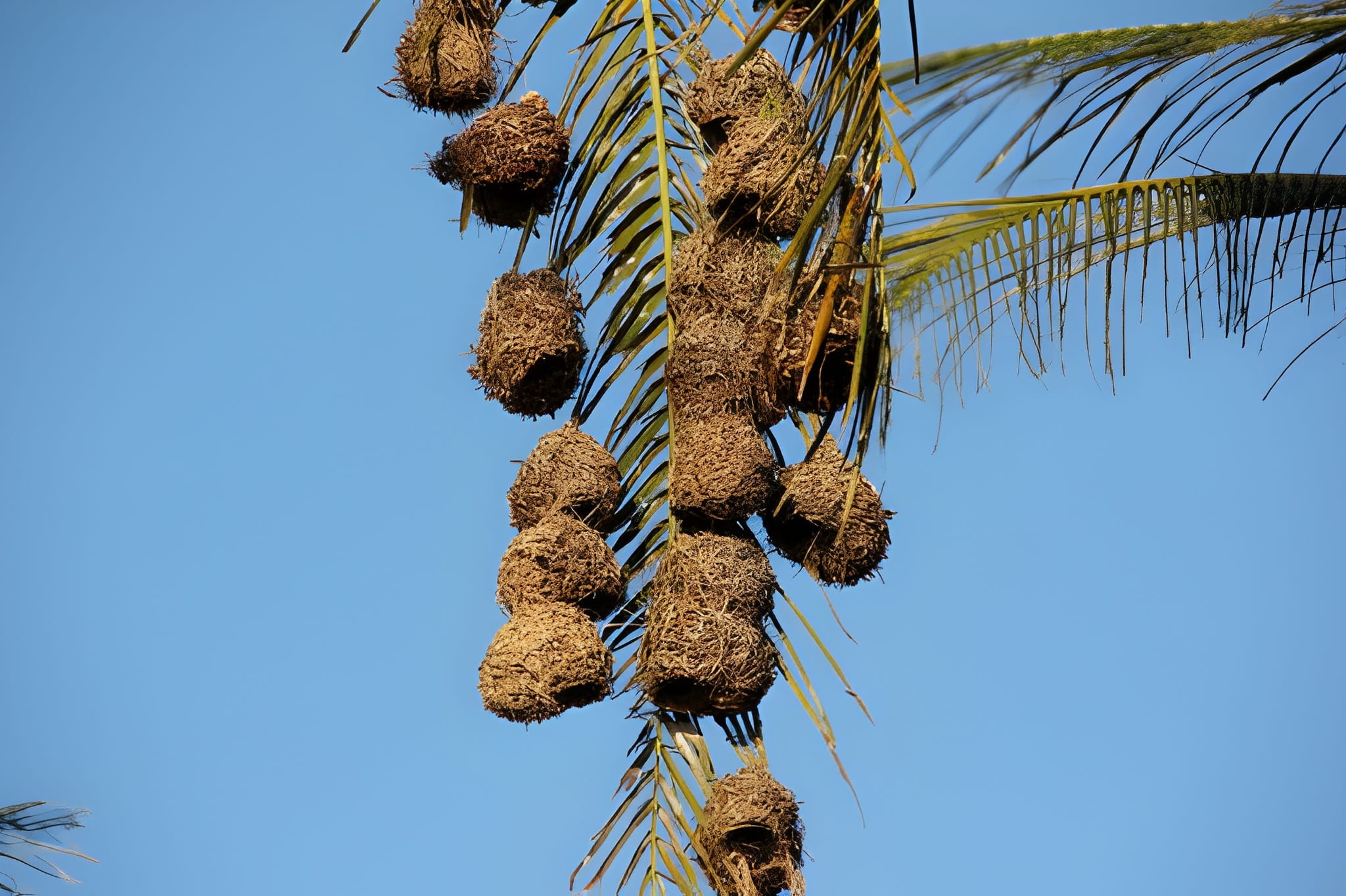 steptodown.com484049